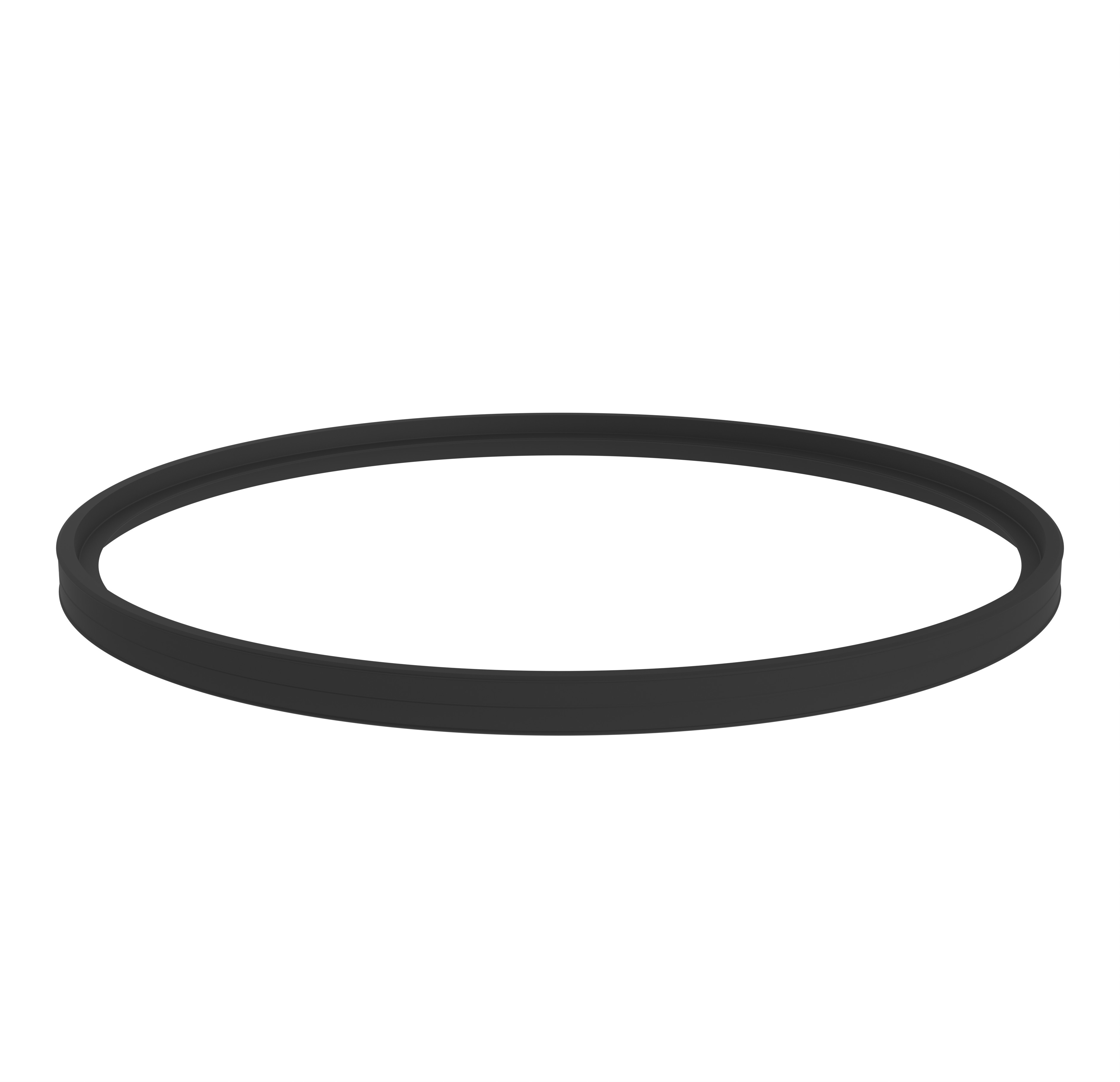 Burgerhout Seal concentric Featured Image